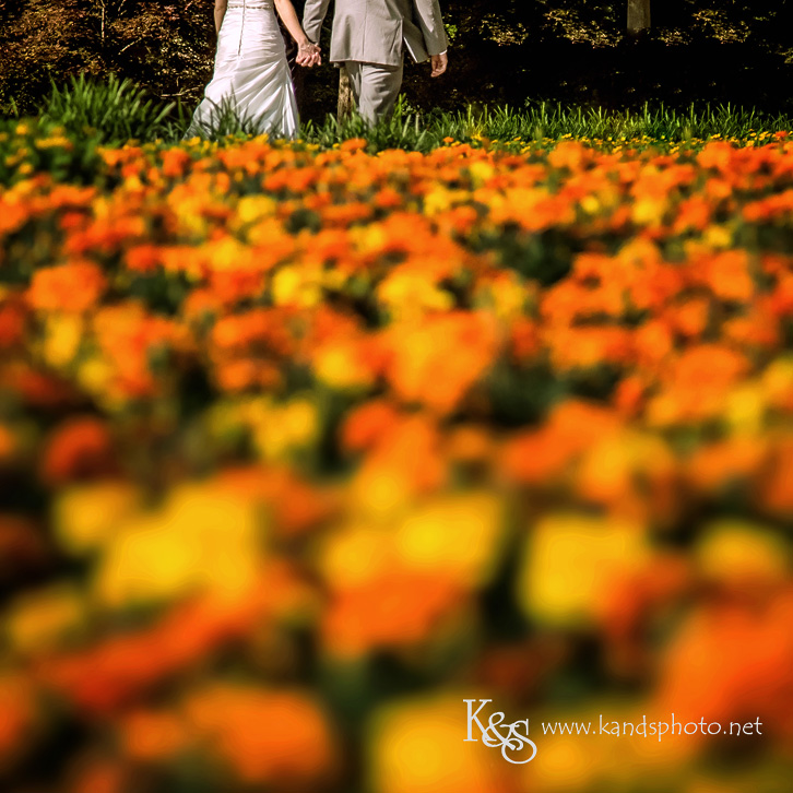 wedding at dallas arboretum
