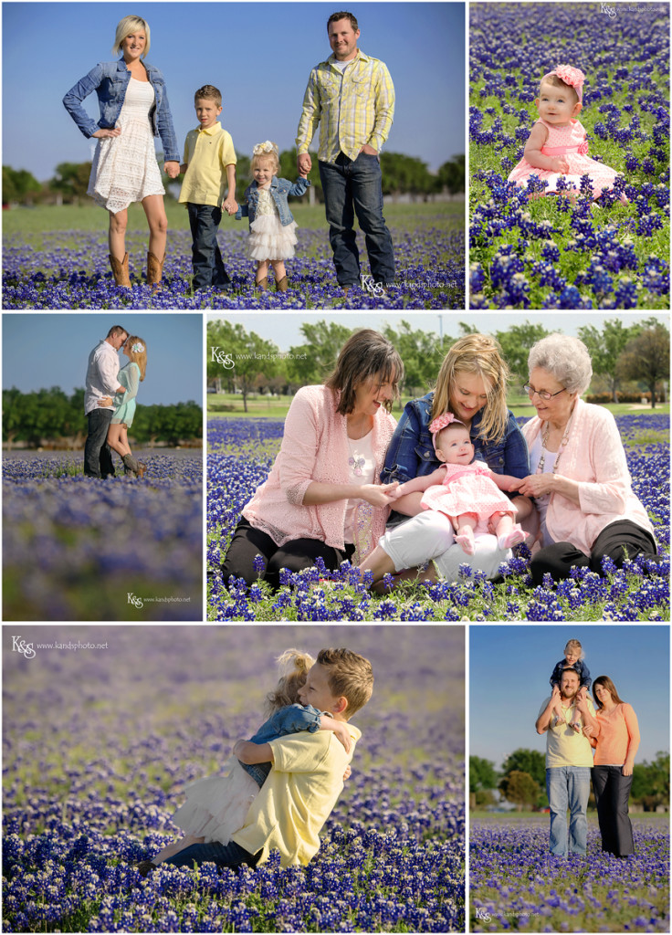 Texas Bluebonnet pictures