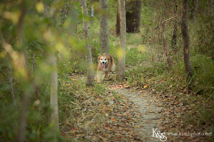 Dallas Family Photographers - K & S Photography