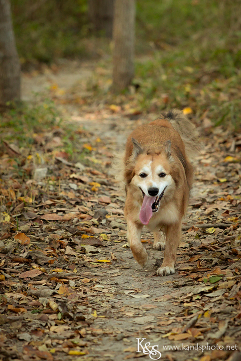 Dallas Family Photographers - K & S Photography