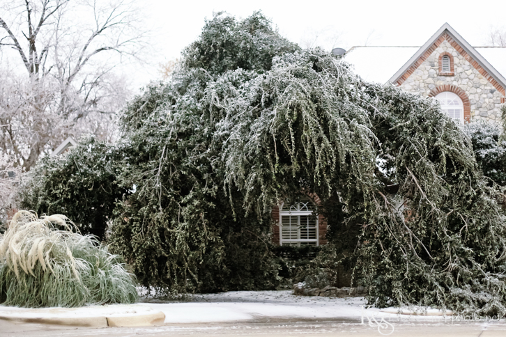 Dallas Wedding Photographers - K & S Photography