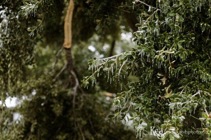 Dallas Wedding Photographers - K & S Photography