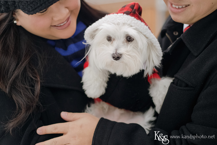 Dallas Engagement Photographers - K & S Photography