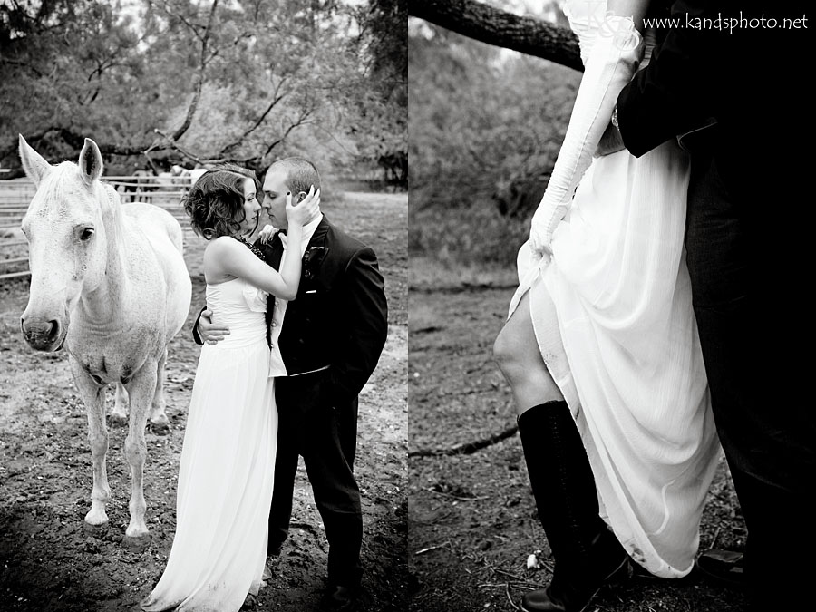 Matt and Rachel Wedding Photo Shoot | Dallas Wedding Photographer