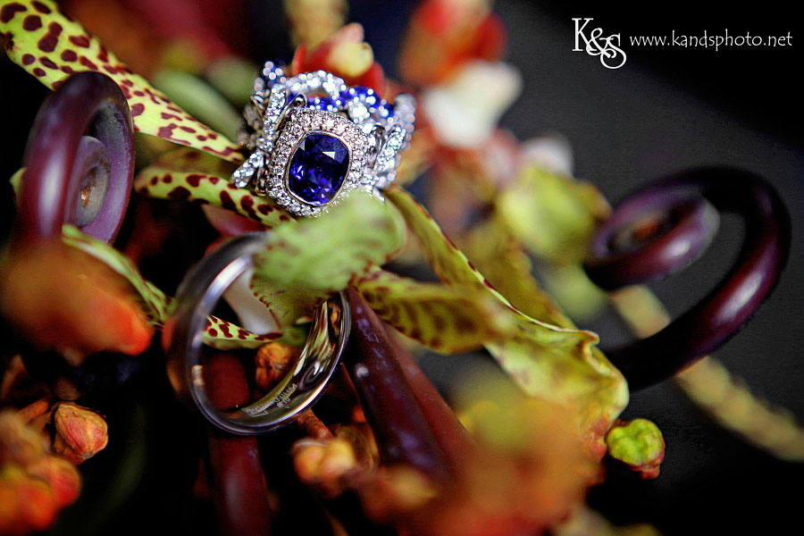 Matt and Rachel Wedding Photo Shoot | Dallas Wedding Photographer