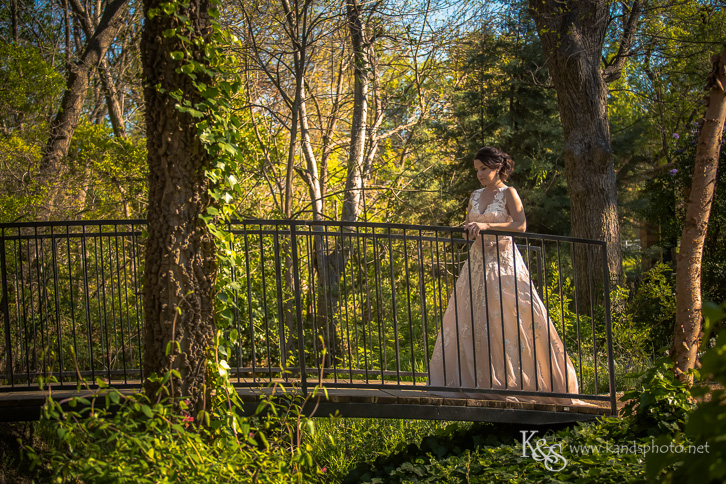 dallas bridal portrait ideas-2