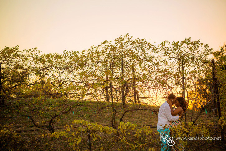 Adriatica McKinney Wedding Photographers - K & S Photography