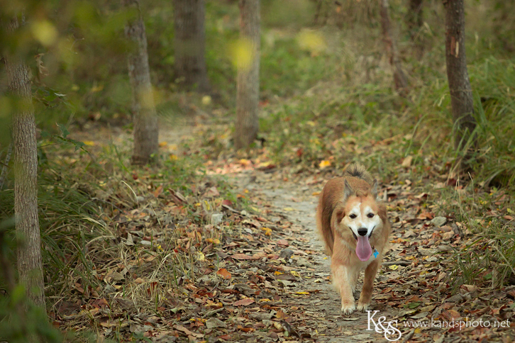 Dallas Family Photographers - K & S Photography
