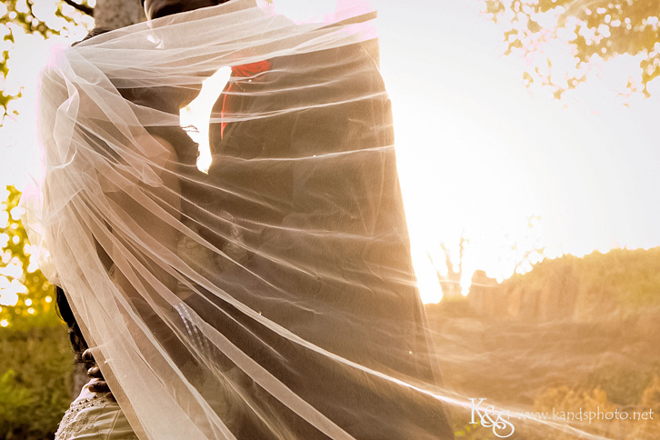 Dallas Wedding Photographers