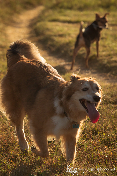 Dallas Family Photographers - K & S Photography