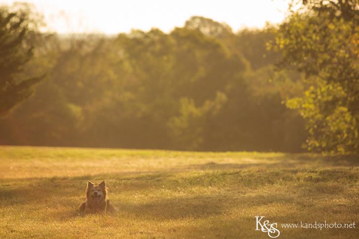 Dallas Family Photographers - K & S Photography