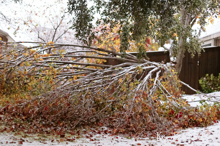 Dallas Wedding Photographers - K & S Photography