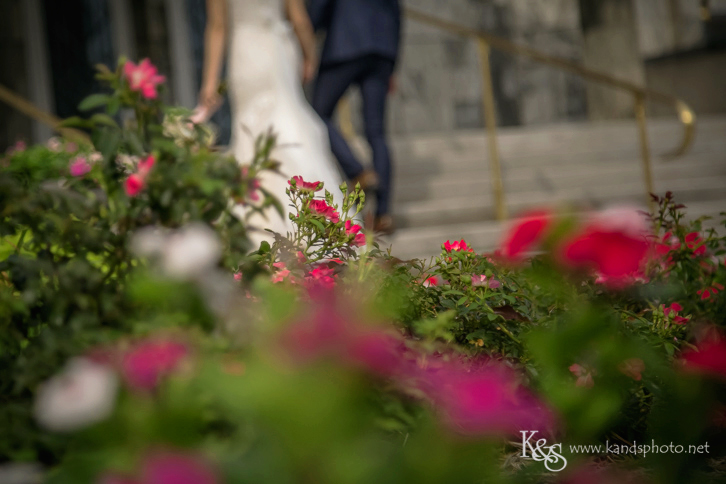 Wedding at Dallas Mormon Temple