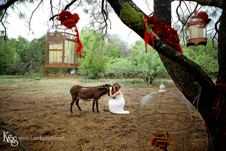 Matt and Rachel Wedding Photo Shoot | Dallas Wedding Photographer