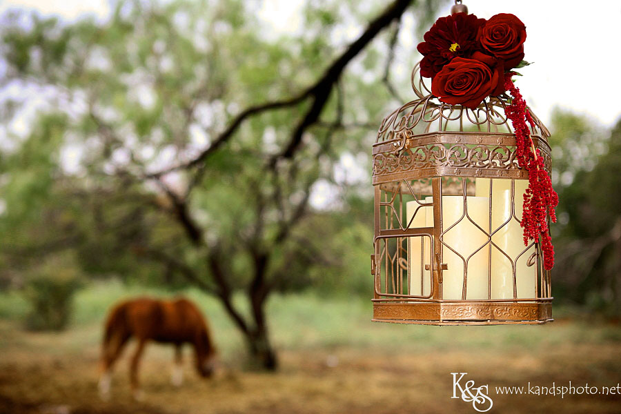 Matt and Rachel Wedding Photo Shoot | Dallas Wedding Photographer