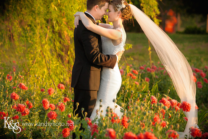 Dallas Wedding Photographers - K & S Photography