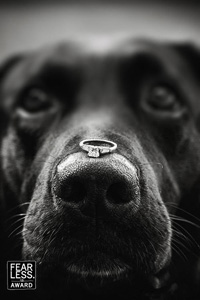 best dallas wedding photographer